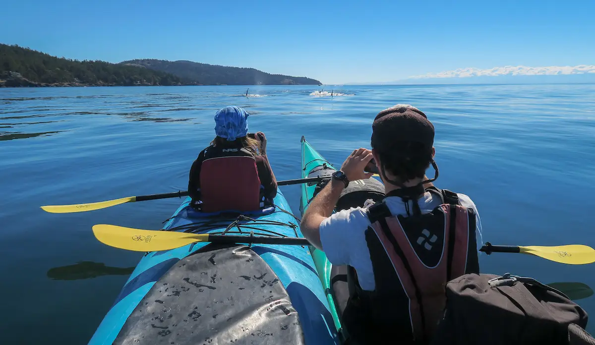 Adventure Travel Insurance FAQs: Your Burning Questions Answered